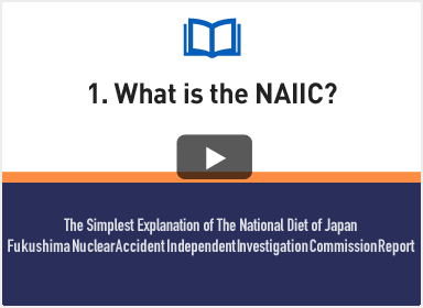 1. What is the NAIIC?