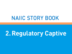 2. Regulatory Captive